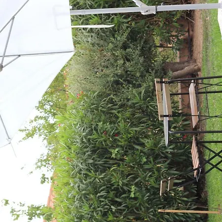 Li Piri Nocleg ze śniadaniem San Teodoro (Sardinia)